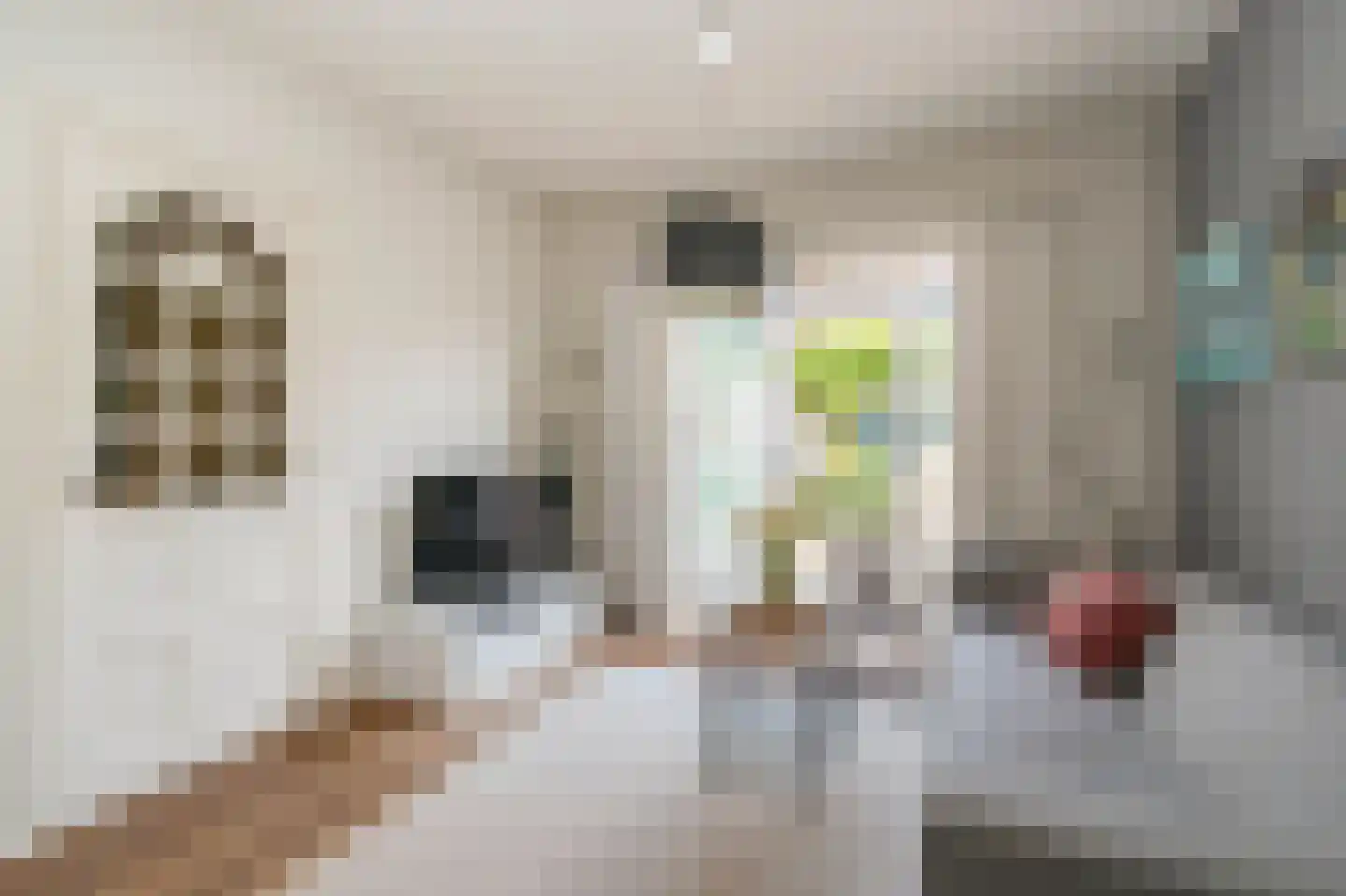 S. Hoogewerffstraat 80 Hilversum thumbnail 4