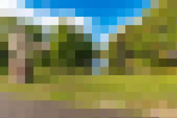 S. Hoogewerffstraat 84 Hilversum thumbnail 37