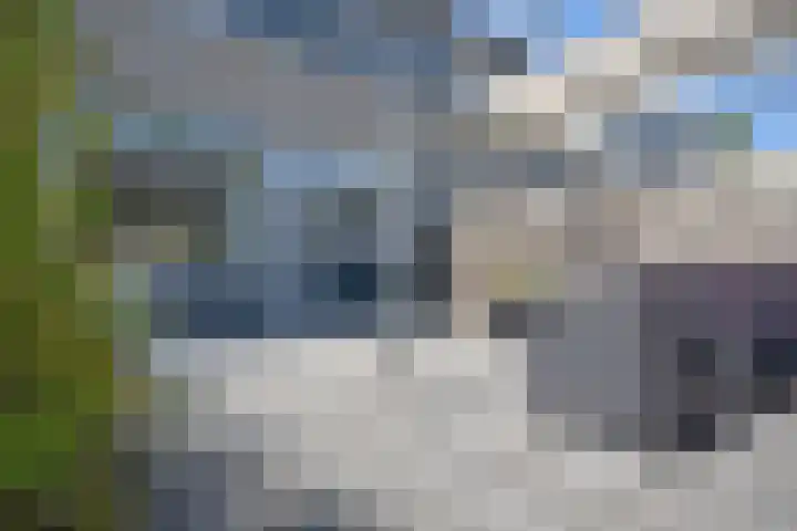 S.K. Feitsmastraat 30 Noardburgum thumbnail 6