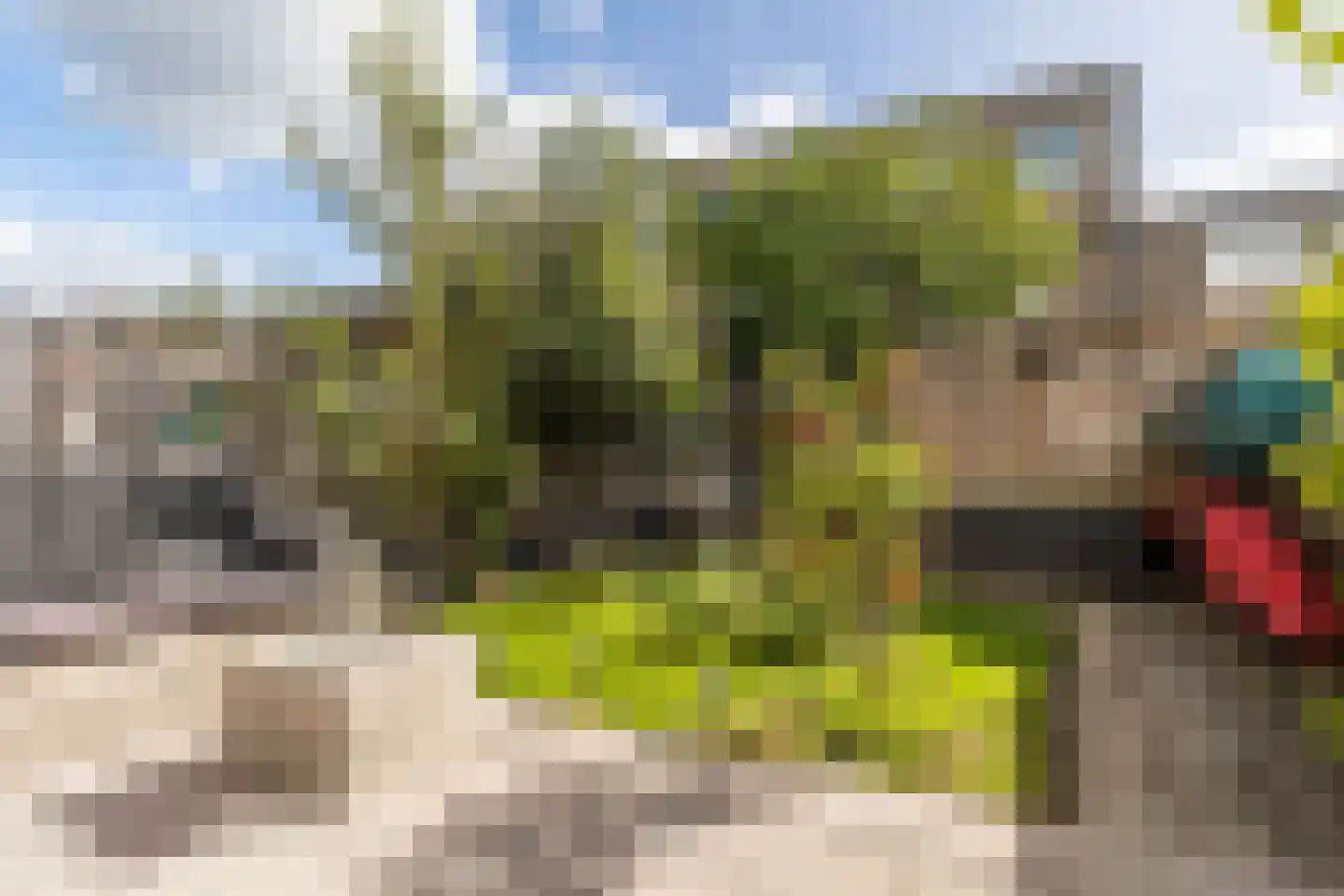 S. Kooijmanstraat 29 Zaandam thumbnail 20