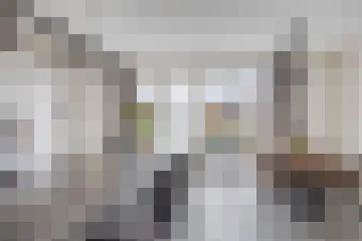 S. Kraaijstraat 16 Hedel thumbnail 13