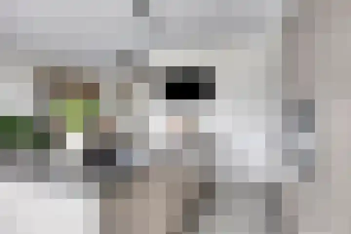 S. Kraaijstraat 16 Hedel thumbnail 15
