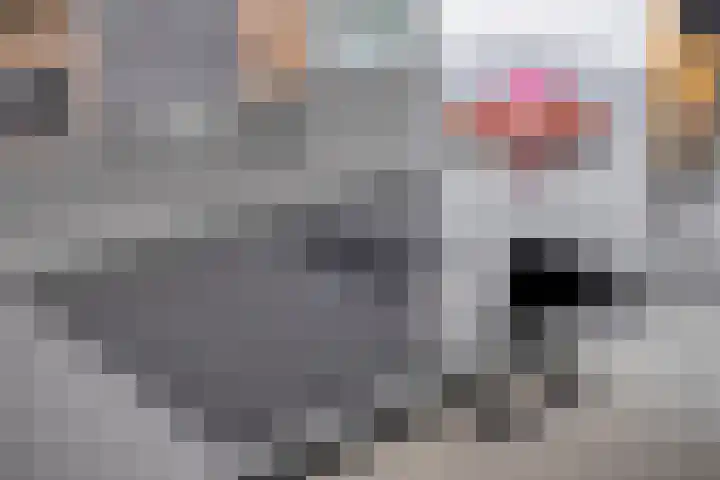 S. Kraaijstraat 16 Hedel thumbnail 16