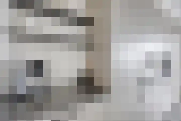 S. Kraaijstraat 16 Hedel thumbnail 17