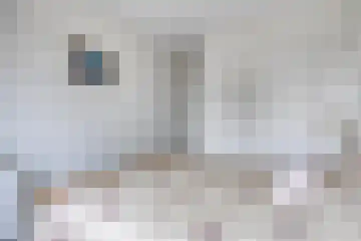 S. Kraaijstraat 16 Hedel thumbnail 25