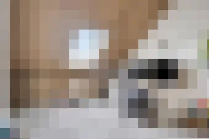 S. Kraaijstraat 16 Hedel thumbnail 35