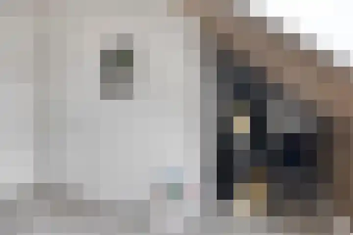 S. Kraaijstraat 16 Hedel thumbnail 36