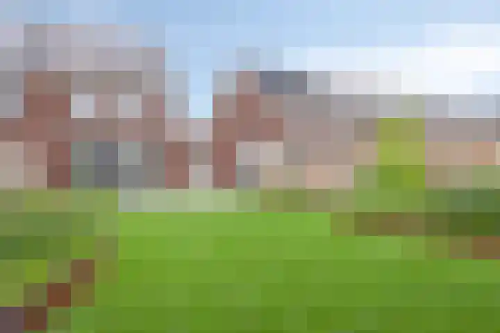 S. Kraaijstraat 16 Hedel thumbnail 38