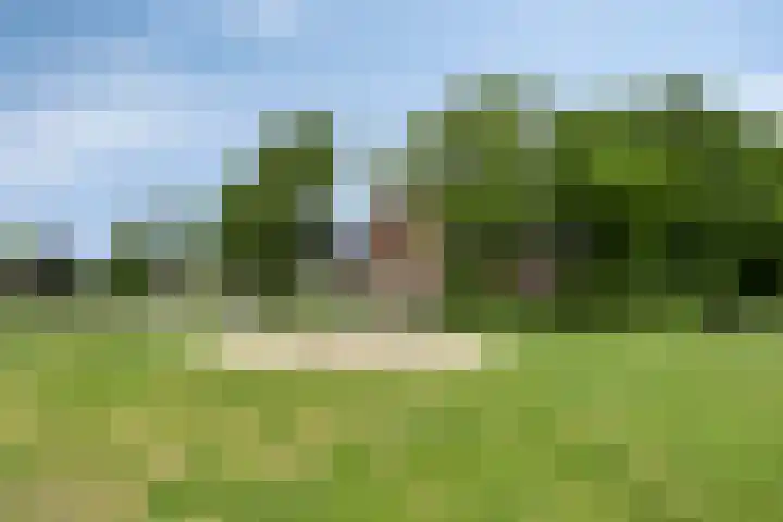 S. Kraaijstraat 16 Hedel thumbnail 44