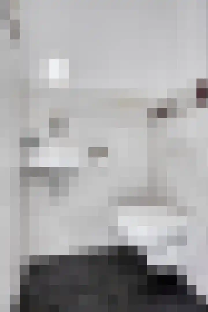 S. Kraaijstraat 16 Hedel thumbnail 9