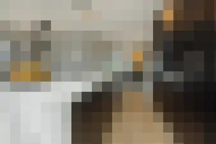 S. Kraaijstraat 2 Hedel thumbnail 10