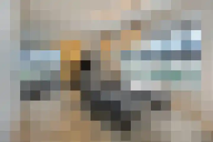 S. Kraaijstraat 2 Hedel thumbnail 12