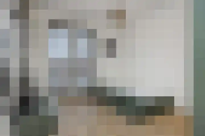 S. Kraaijstraat 2 Hedel thumbnail 17