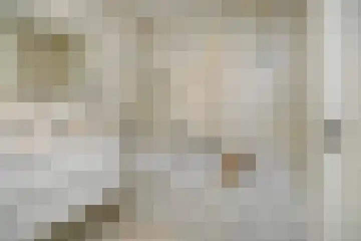 S. Kraaijstraat 2 Hedel thumbnail 21