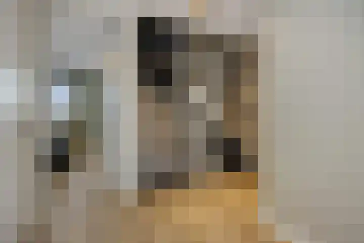 S. Kraaijstraat 2 Hedel thumbnail 23