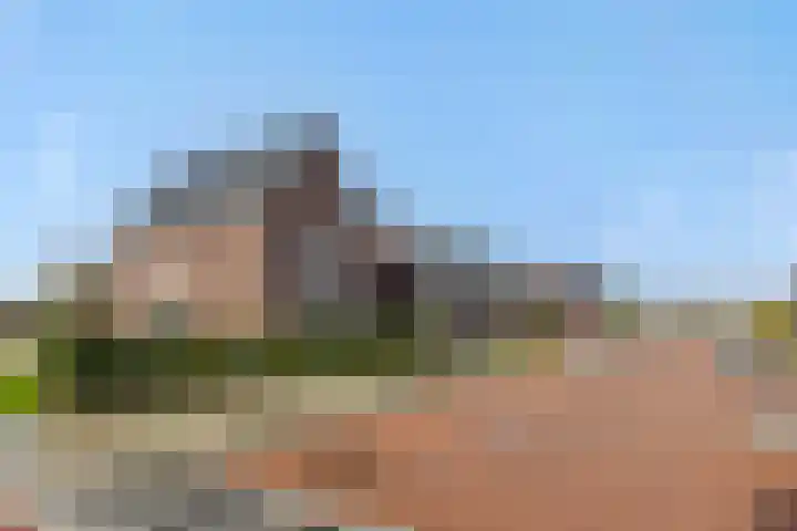 S. Kraaijstraat 2 Hedel thumbnail 30