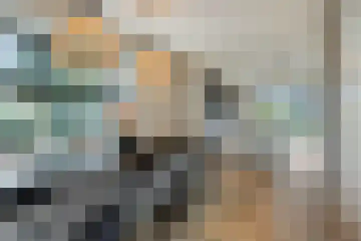 S. Kraaijstraat 2 Hedel thumbnail 7