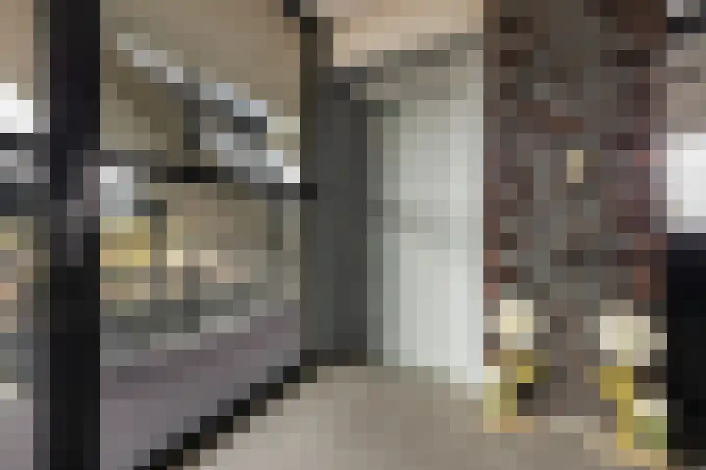 S.L. Louwesstraat 2 42 Enschede thumbnail 9