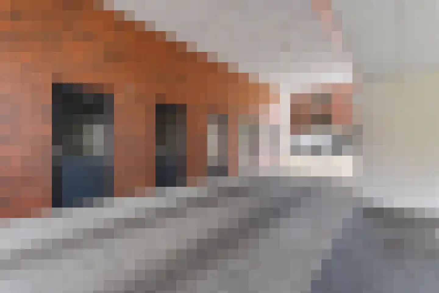 S.L. Louwesstraat 86 Enschede thumbnail 34