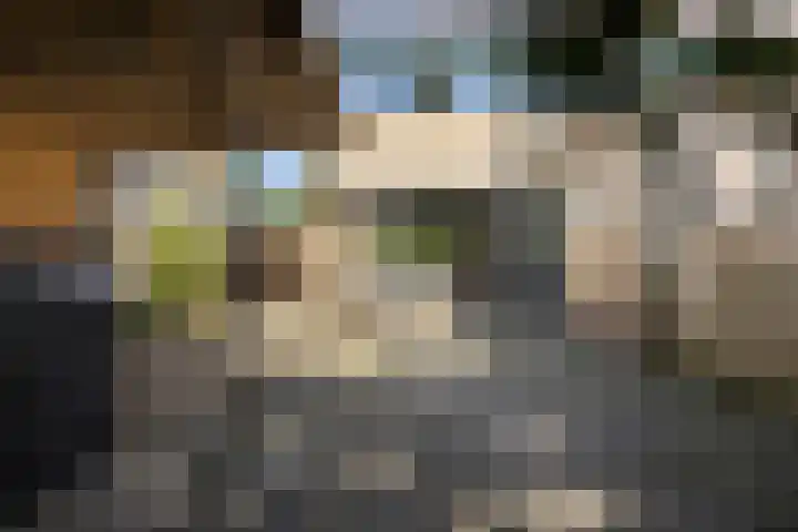 S L Mansholtplein 13 Franeker thumbnail 28