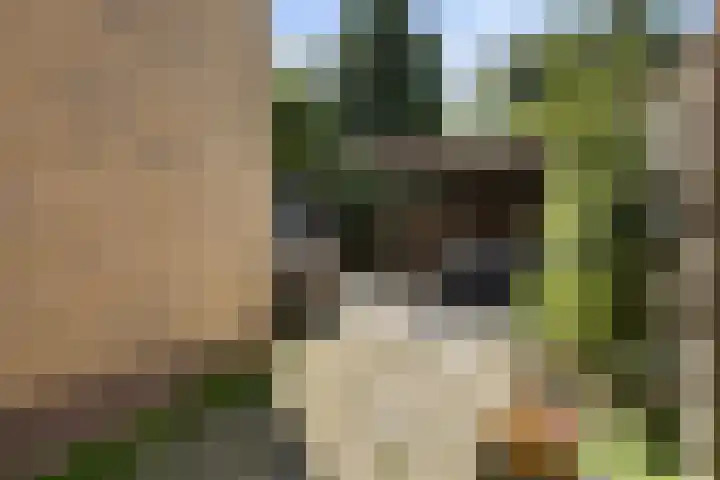 S L Mansholtplein 13 Franeker thumbnail 31