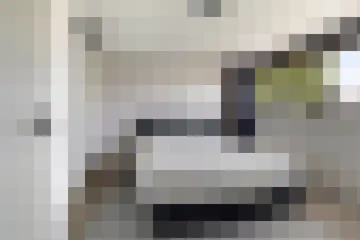 S L Mansholtplein 13 Franeker thumbnail 34