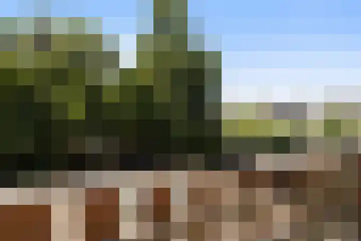 S L Mansholtplein 13 Franeker thumbnail 47