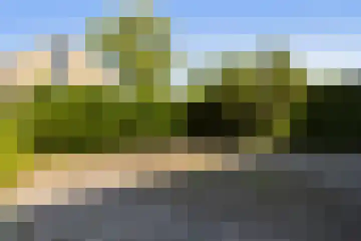S L Mansholtplein 13 Franeker thumbnail 5