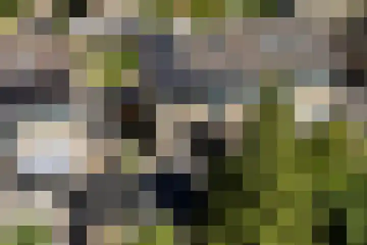 S L Mansholtplein 13 Franeker thumbnail 56