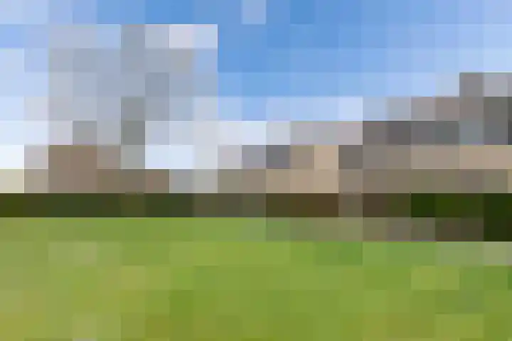 S L Mansholtplein 23 Franeker thumbnail 4