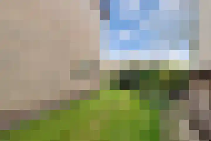 S L Mansholtplein 23 Franeker thumbnail 8