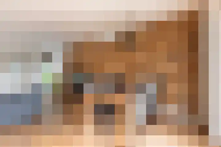 S L van Alterenlaan 3 A Lopik thumbnail 11