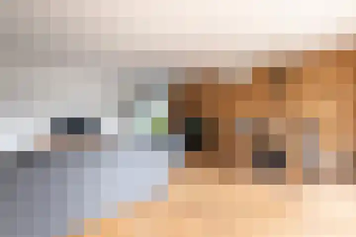 S L van Alterenlaan 3 A Lopik thumbnail 12