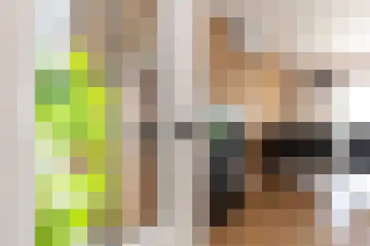 S L van Alterenlaan 3 A Lopik thumbnail 15