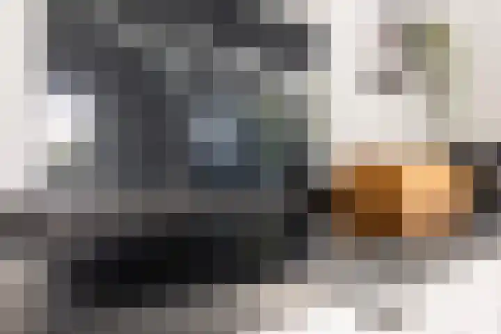 S L van Alterenlaan 3 A Lopik thumbnail 19