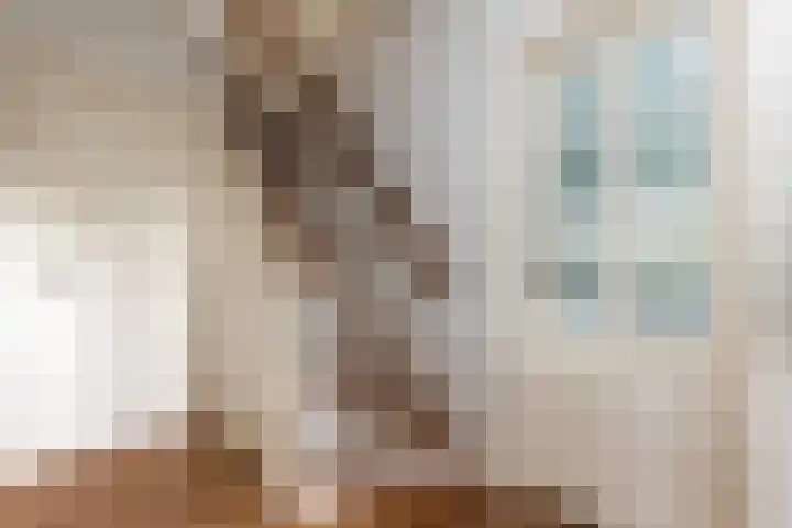 S L van Alterenlaan 3 A Lopik thumbnail 23