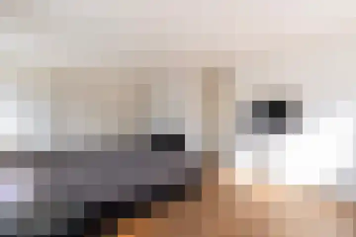 S L van Alterenlaan 3 A Lopik thumbnail 28
