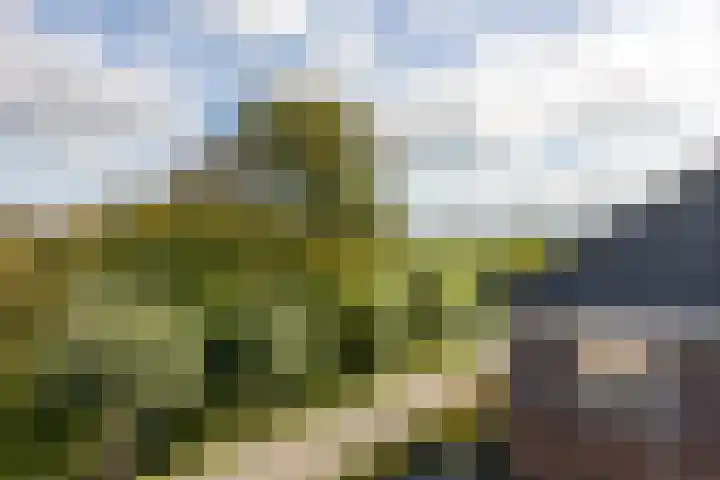 S L van Alterenlaan 3 A Lopik thumbnail 41