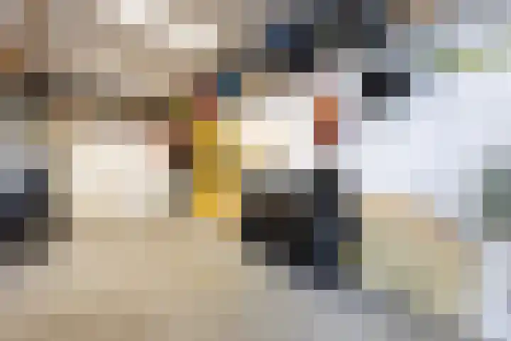 S L van Alterenlaan 3 A Lopik thumbnail 51