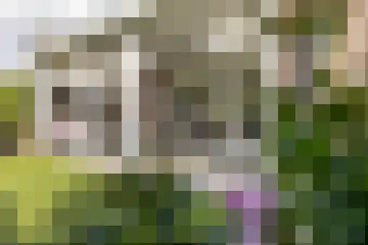 S L van Alterenlaan 3 A Lopik thumbnail 58