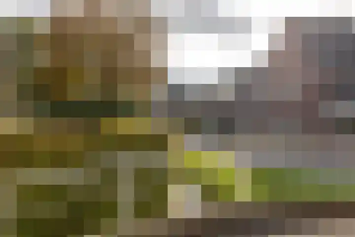 S L van Alterenlaan 3 A Lopik thumbnail 60