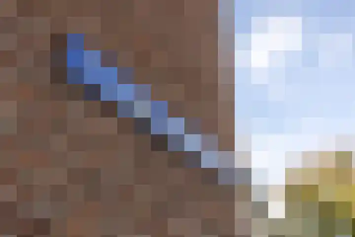 S L van Alterenlaan 3 A Lopik thumbnail 61