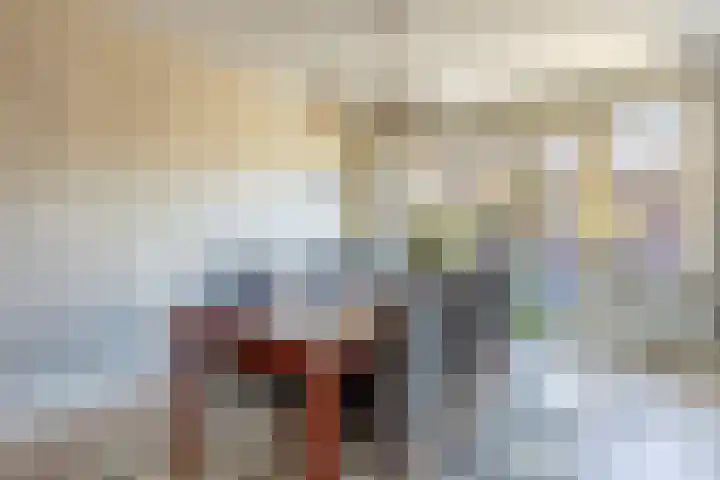S L van Alterenlaan 3 B Lopik thumbnail 15