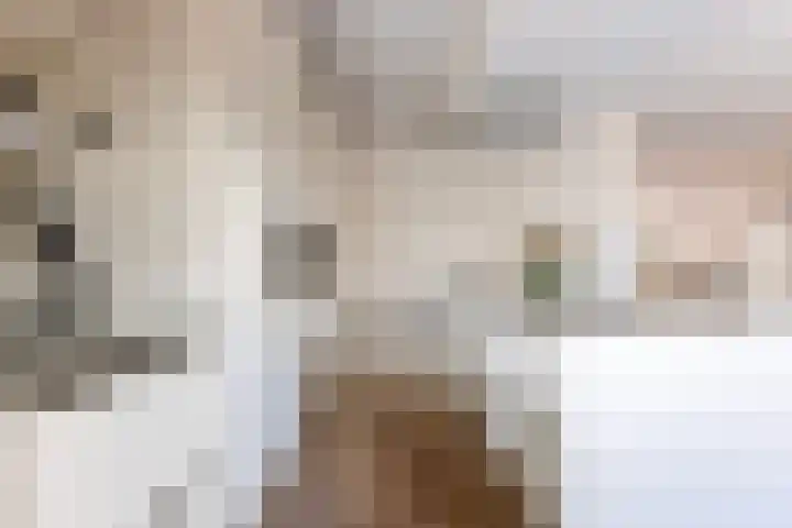 S L van Alterenlaan 3 B Lopik thumbnail 18