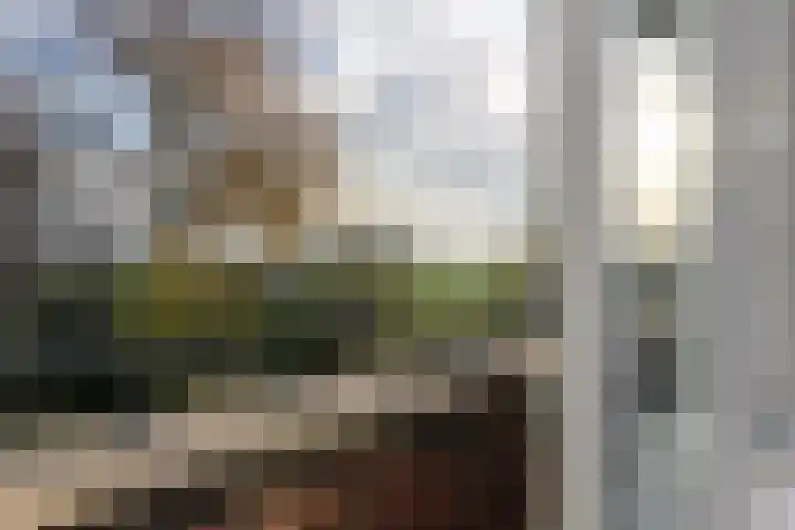 S L van Alterenlaan 3 B Lopik thumbnail 27