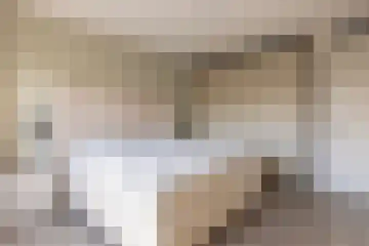 S L van Alterenlaan 3 B Lopik thumbnail 29