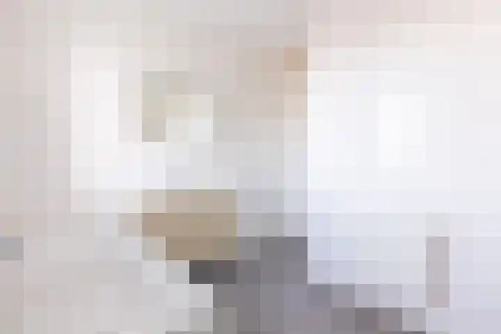 S L van Alterenlaan 3 B Lopik thumbnail 32