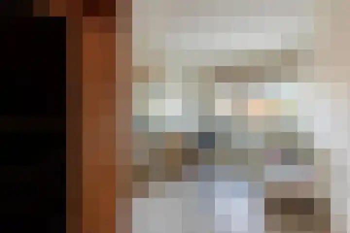 S L van Alterenlaan 3 B Lopik thumbnail 33