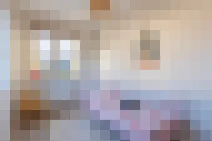 S L van Alterenlaan 3 B Lopik thumbnail 35