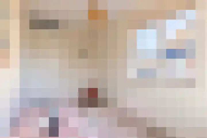S L van Alterenlaan 3 B Lopik thumbnail 36